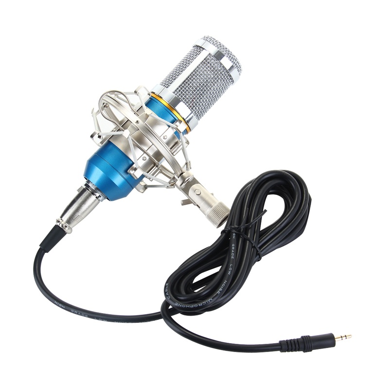 Wired Speaker Audio